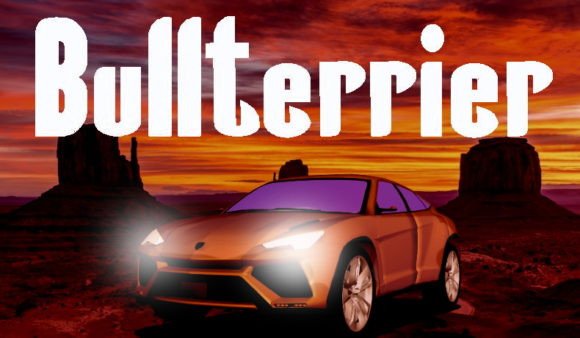 Bullterrier Display Font Review