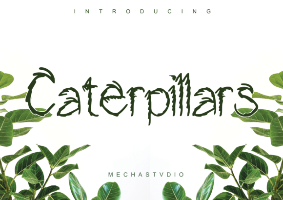 Caterpillars Font for Editorial Design