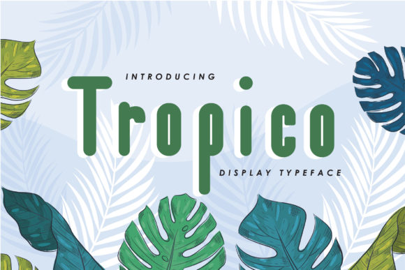 Testing Tropico for a Modern Web Design Project